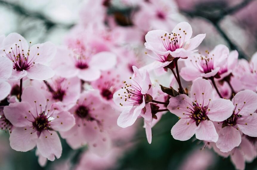 online reach through seo